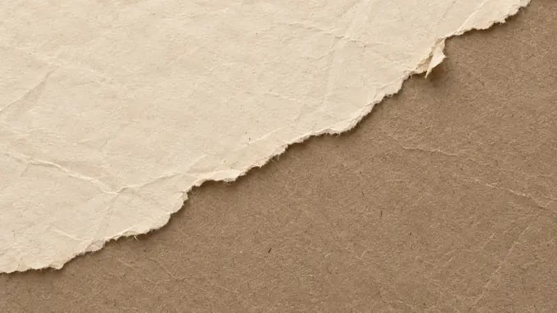 Torn paper texture in cream dark sand