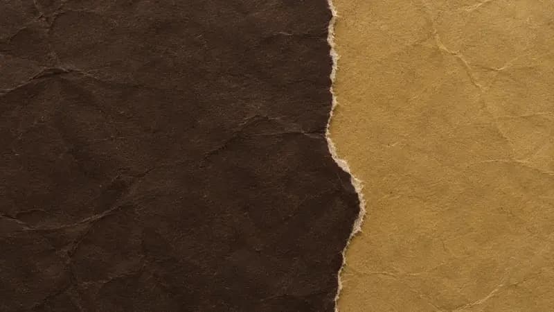 Torn paper texture in espresso antique gold