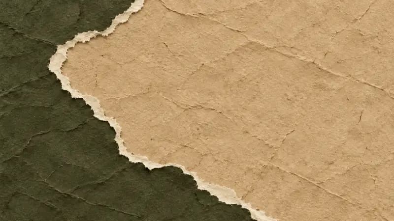 Torn paper texture in dark olive sand limestone