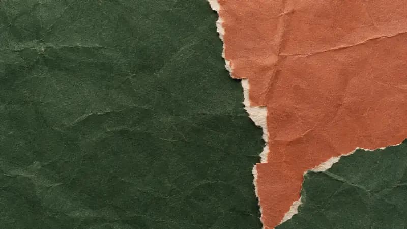 Torn paper texture in deep pine terracotta
