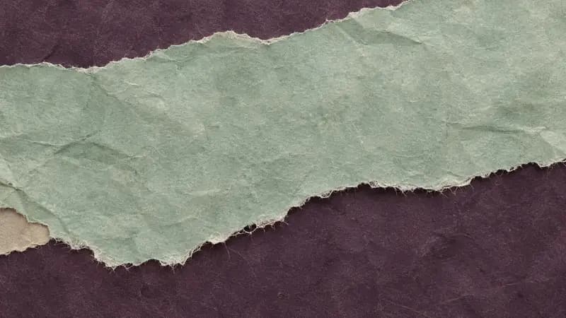 Torn paper texture in aubergine seafoam